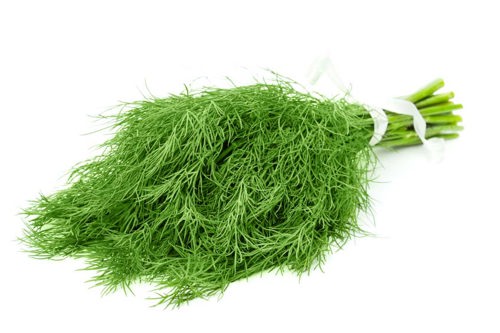 Dill i Tråg
