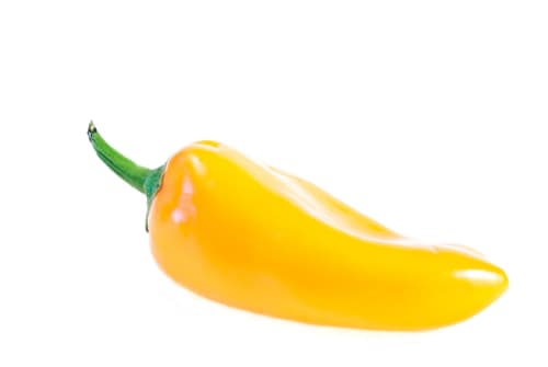 Chili gul